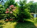 Продава  Къща област Враца , с. Лютиброд , 200 кв.м | 33514210 - изображение [13]