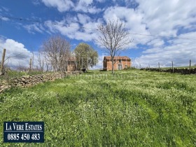 ������ ������� ������