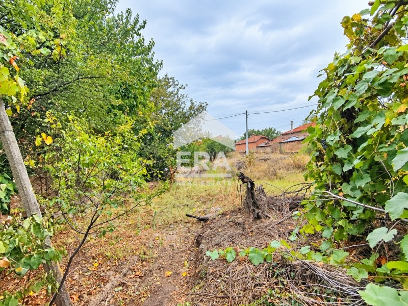 Продава КЪЩА, с. Динево, област Хасково, снимка 6 - Къщи - 56294744