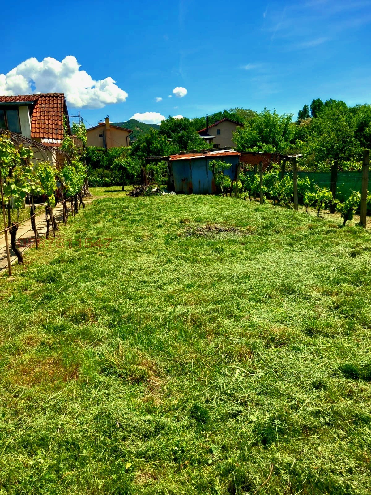 ������� ���� | Imot.bg � ����������� 3