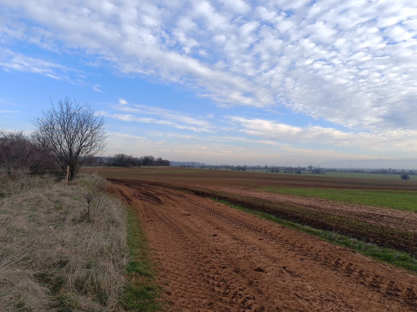 ������� ���������� ���� | Imot.bg � ����������� 3