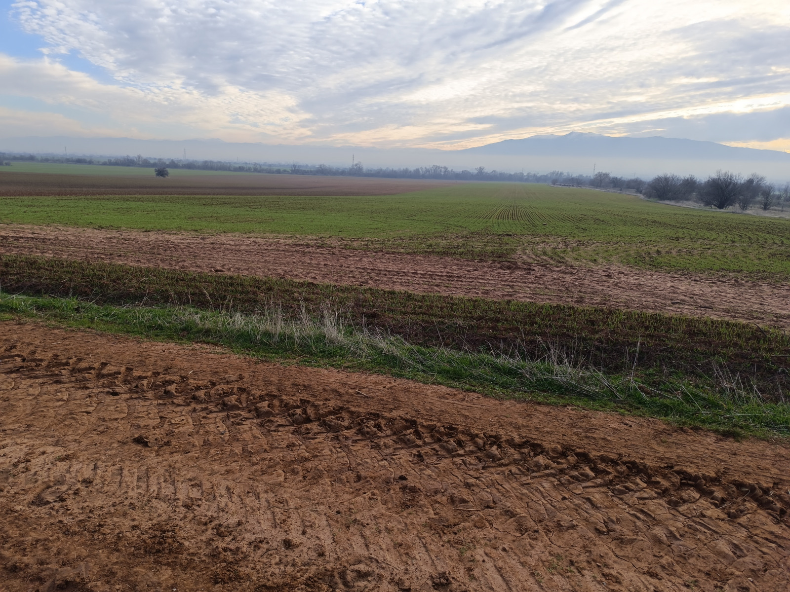 ������� ���������� ���� | Imot.bg � ����������� 6