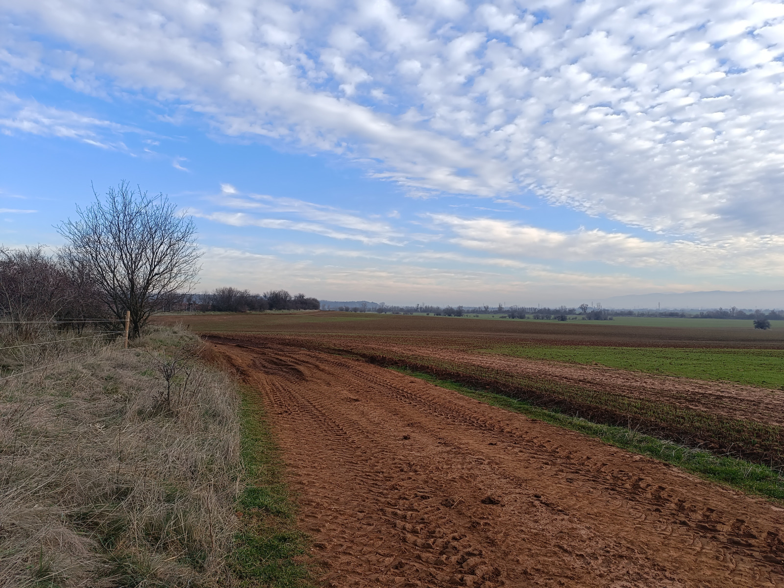 ������� ���������� ���� | Imot.bg � ����������� 2