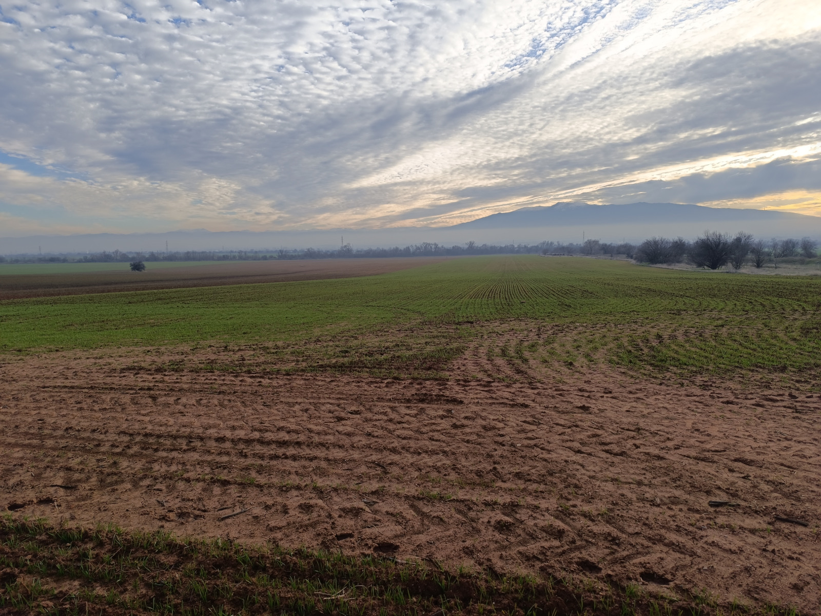 ������� ���������� ���� | Imot.bg � ����������� 12