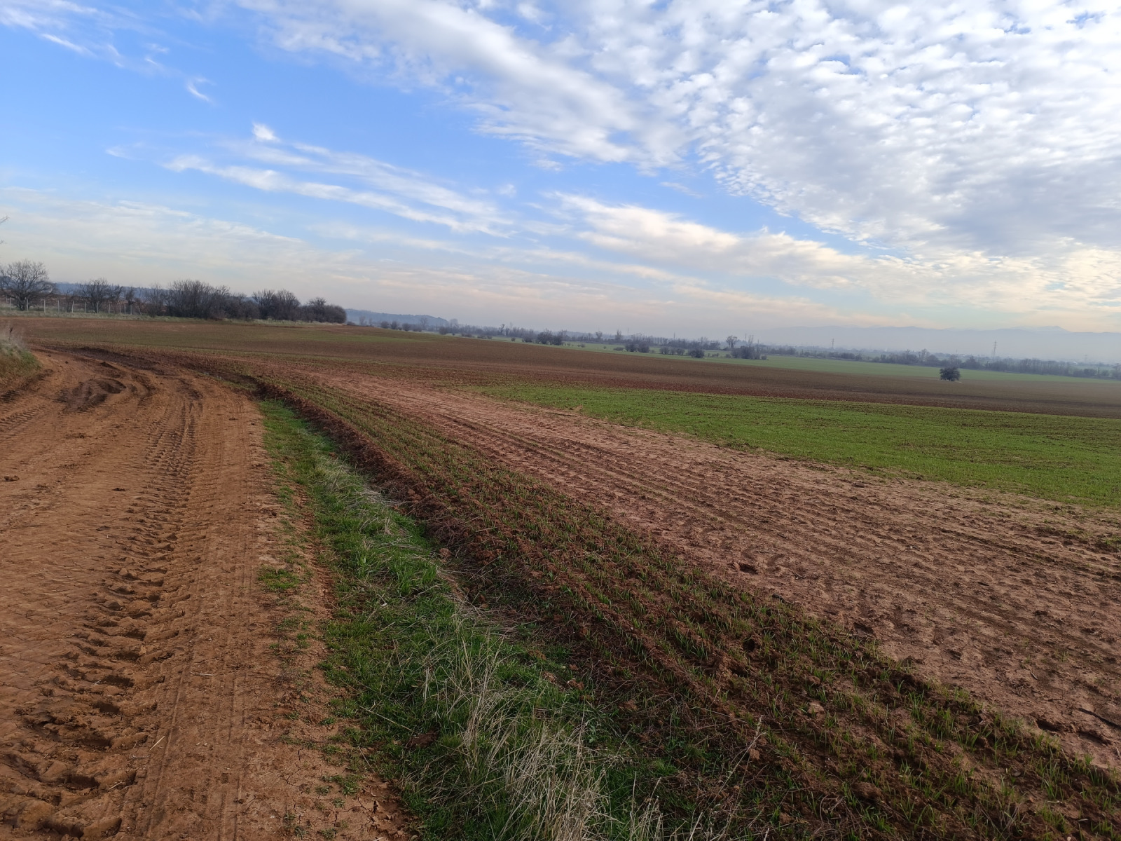 ������� ���������� ���� | Imot.bg � ����������� 8