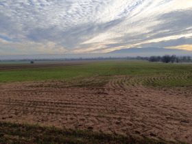 ������� ���������� ���� | Imot.bg � ����� ������ 12