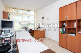 ����� ������� �������,���� �����, �������