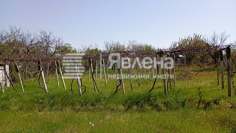 For Sale  Plot region Varna , Osenovo , 737 sq.m | 63003682 - image [2]