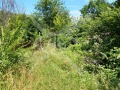 Продава ПАРЦЕЛ, с. Крушевец, област Бургас, снимка 2