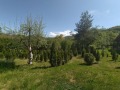 Продава КЪЩА, област Перник, с. Блатешница • 135200 € / 264428.22 лв. • 19039866 9