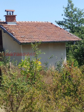 ������� ���� | Imot.bg � ����� ������ 8