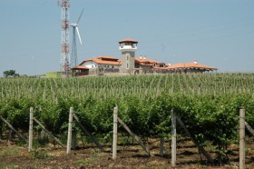 Land Zlati vojvoda, region Sliven 1