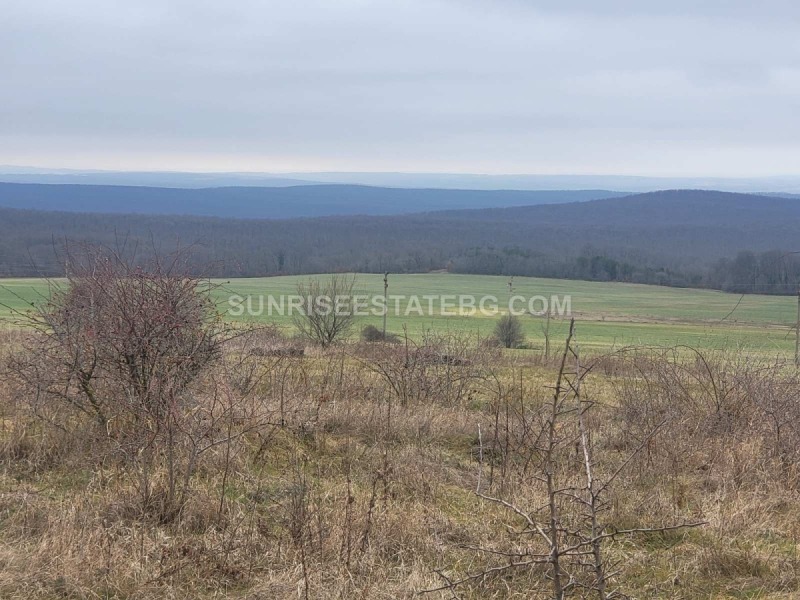 Продава  Парцел област Варна , с. Горица , 2119 кв.м | 64059690 - изображение [5]