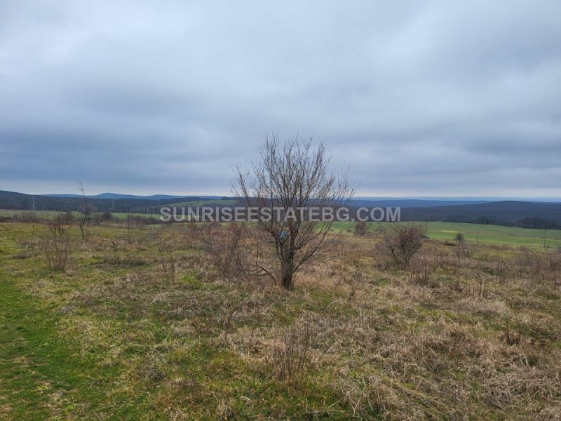 Продава  Парцел област Варна , с. Горица , 2119 кв.м | 64059690 - изображение [2]