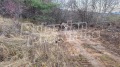Продава ПАРЦЕЛ, град София, с. Железница • 42665 € / 83445.49 лв. • 68475749 15