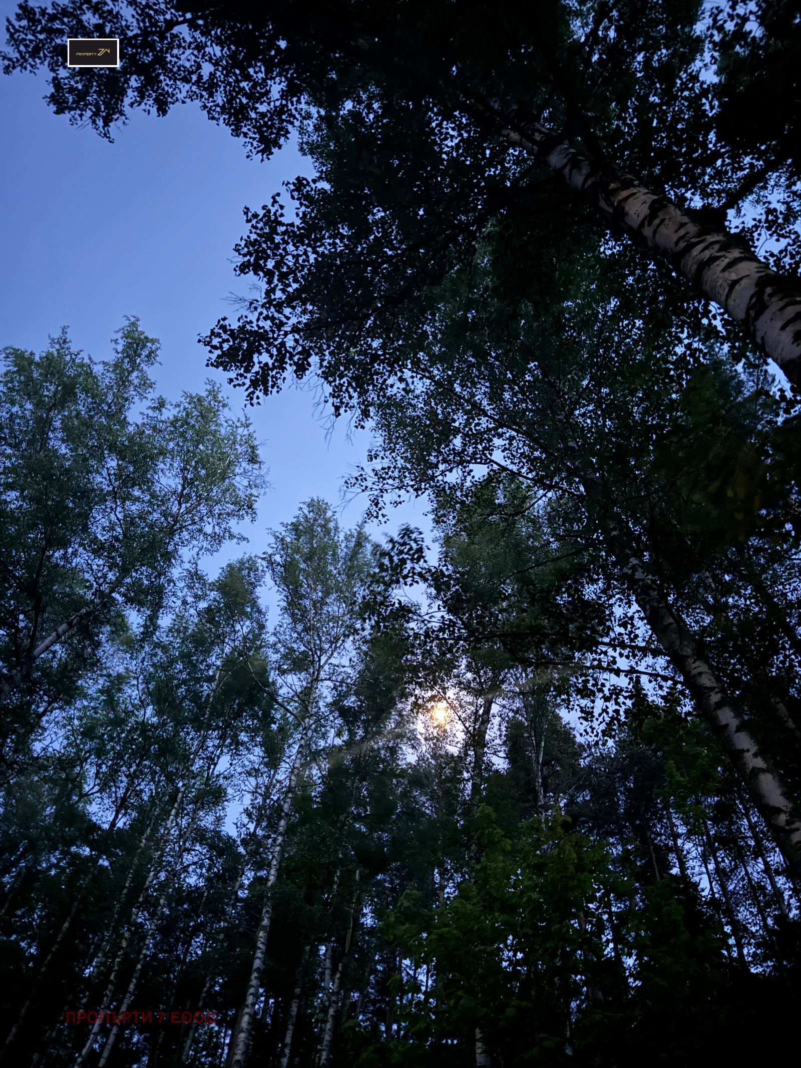 ������� ���� | Imot.bg � ����������� 3