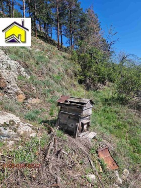 Dům Velingrad, oblast Pazardzhik 13