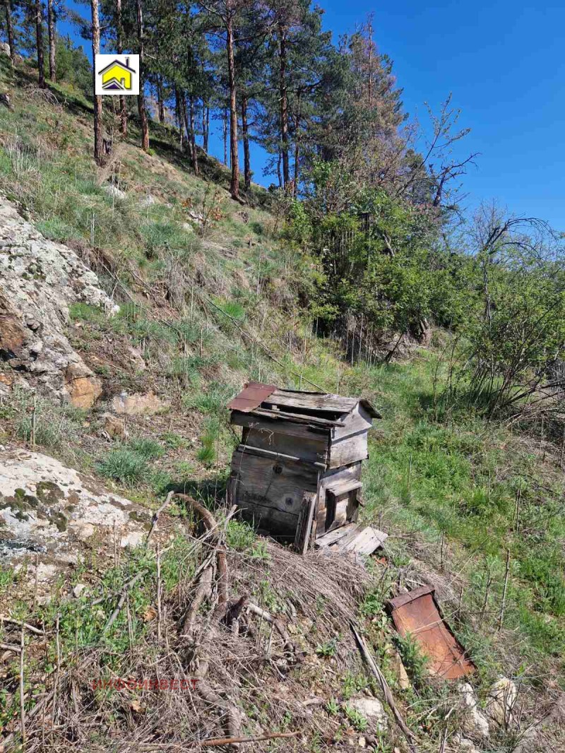 Na prodej  Dům oblast Pazardzhik , Velingrad , 37 m2 | 37692940 - obraz [13]