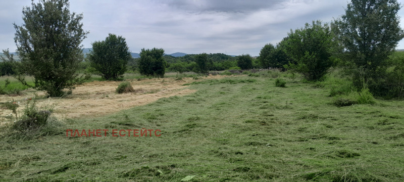 Na prodej  Spiknutí Sofia , Obelja , 2398 m2 | 19356432 - obraz [3]