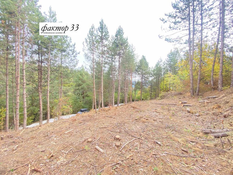 Продава  Парцел град София , с. Бистрица , 2400 кв.м | 70525236 - изображение [5]