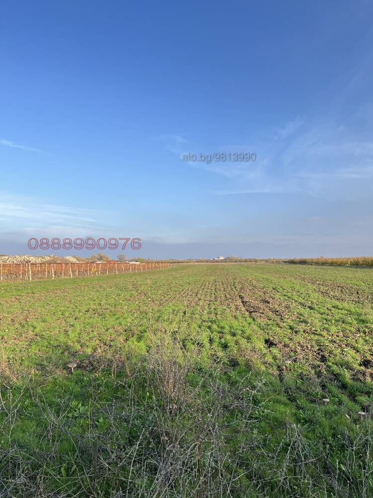 Продава ЗЕМЕДЕЛСКА ЗЕМЯ, с. Брестник, област Пловдив