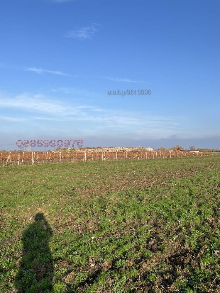 Продава ЗЕМЕДЕЛСКА ЗЕМЯ, с. Брестник, област Пловдив, снимка 2 - Земеделска земя - 53936409