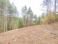 Продава ПАРЦЕЛ, град София, с. Бистрица • 395000 € / 772552.85 лв. • 78388928 5