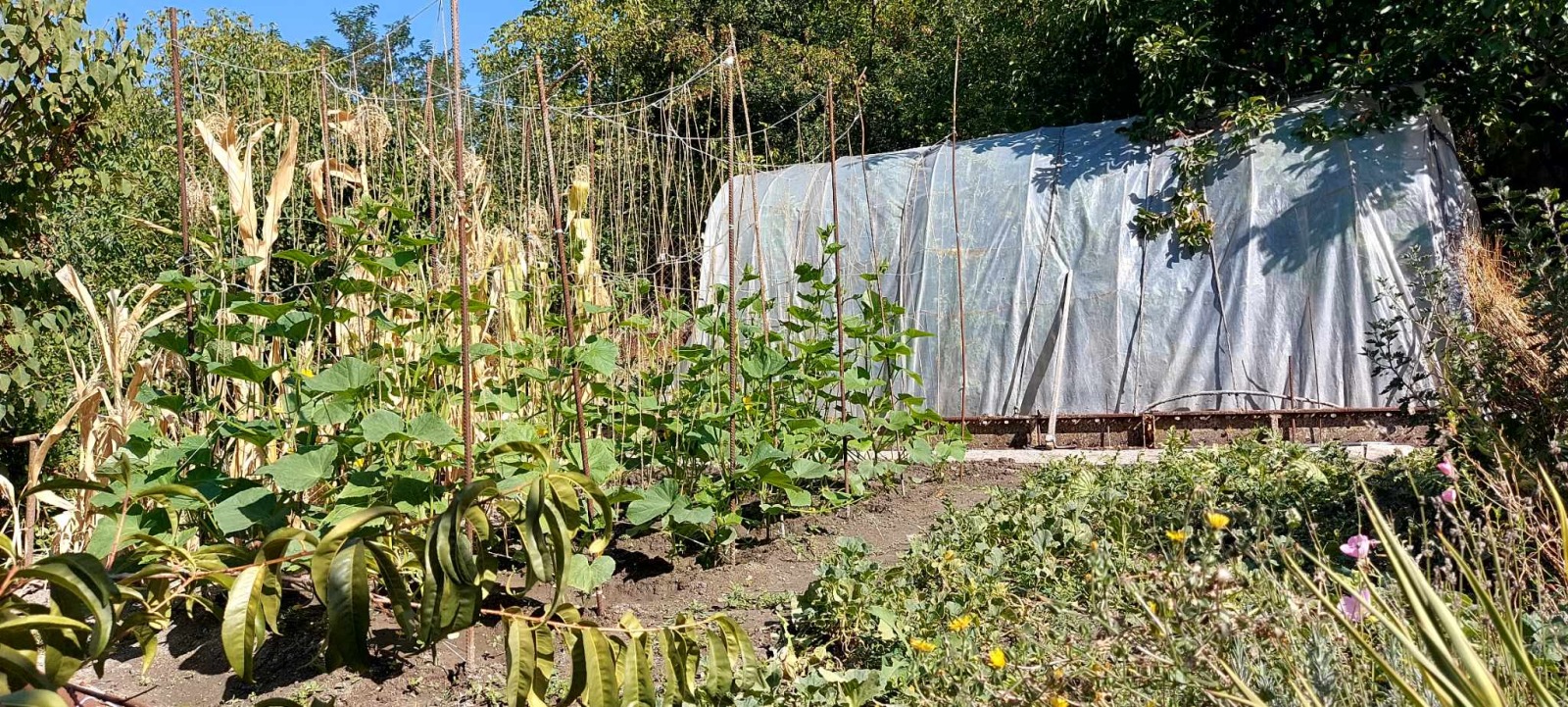 ������� ���� | Imot.bg � ����������� 15