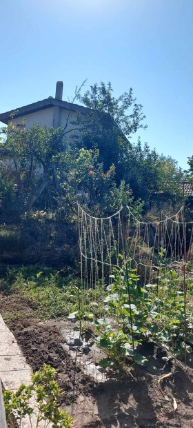 ������� ���� | Imot.bg � ����� ������ 13