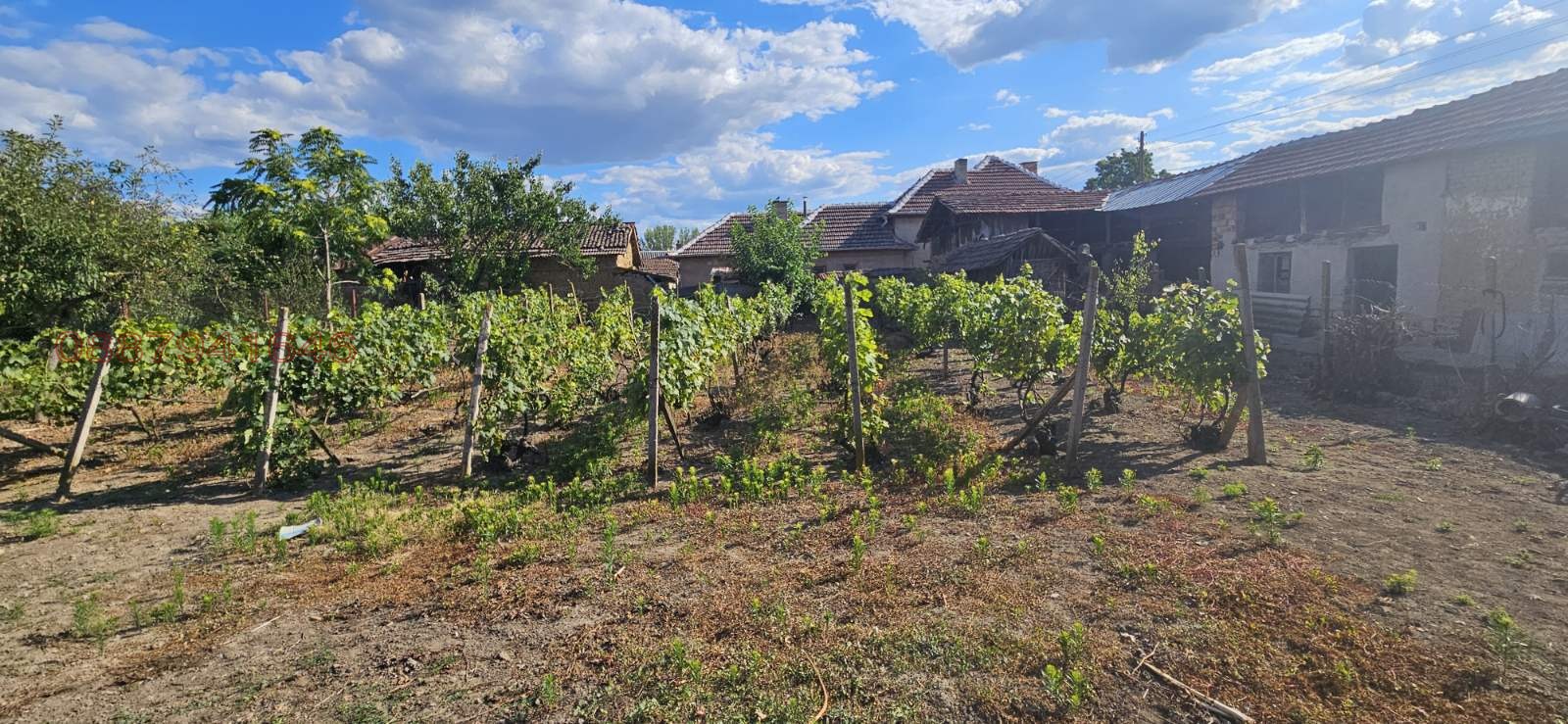 ������� ���� | Imot.bg � ����������� 17