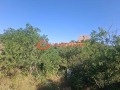 Продава ПАРЦЕЛ, с. Гургулят, област София област, снимка 2