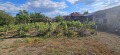 Продава  Къща област Плевен , гр. Койнаре , 150 кв.м | 69033618 - изображение [17]