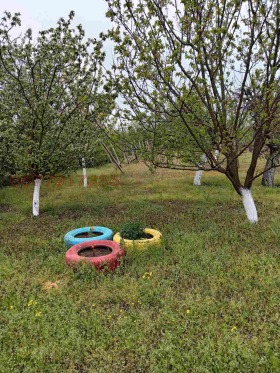 ������� ���� | Imot.bg � ����� ������ 5