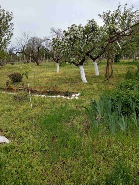 ������� ���� | Imot.bg � ����� ������ 4