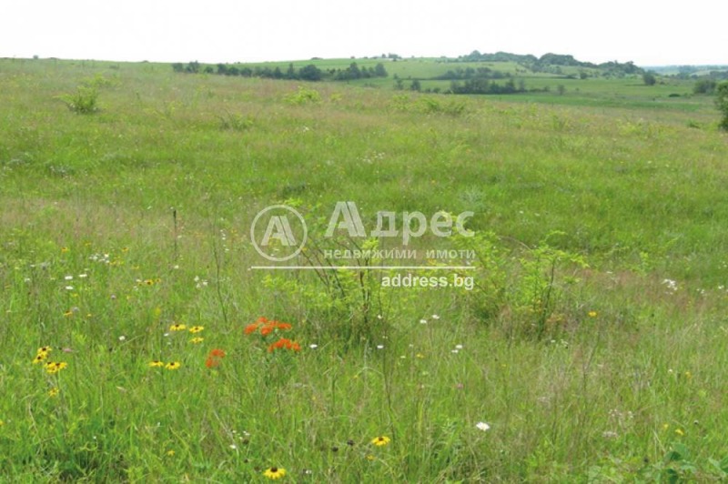 Продава  Земеделска земя област Пловдив , с. Царацово , 2.7 дка | 29720503