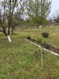 Продава ВИЛА, гр. Плевен, м-т Мъртва долина, снимка 6