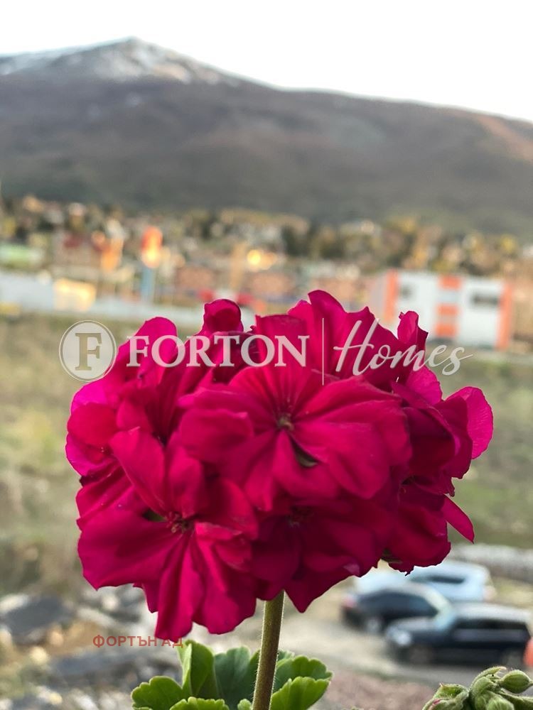 Продава 3-СТАЕН, гр. София, Манастирски ливади, снимка 4 - Апартаменти - 54275295