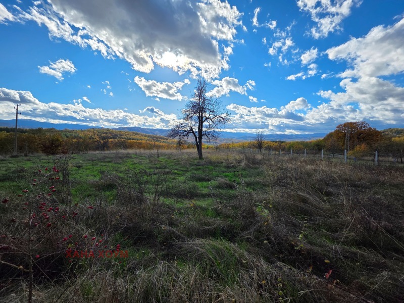 Продава КЪЩА, с. Патрешко, област Ловеч, снимка 7 - Къщи - 52153503