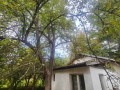 Продава ВИЛА, с. Велчево, област Ловеч, снимка 13