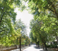 Продава ПАРЦЕЛ, гр. София, Център, снимка 1
