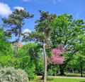 Продава ПАРЦЕЛ, гр. София, Център, снимка 3