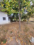 Продава ВИЛА, област Ловеч, с. Велчево • 21500 € • 11111039 8