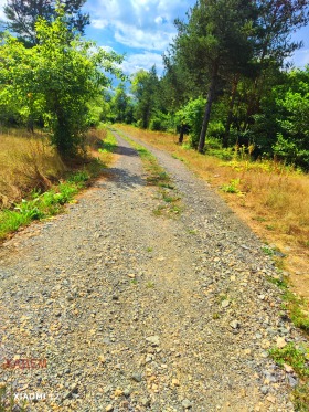 House Dolno selo, region Kyustendil 3