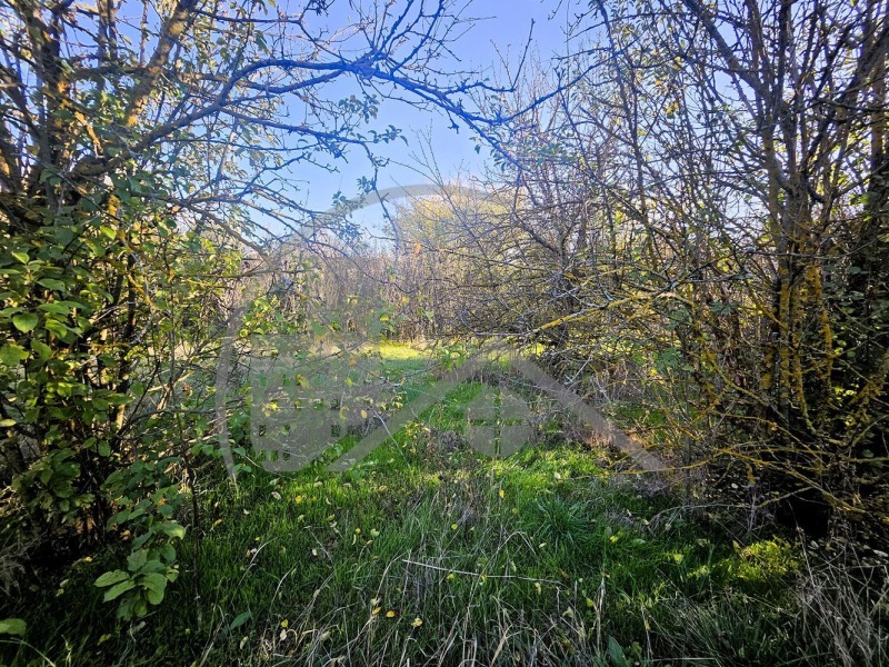 Продава КЪЩА, с. Червенци, област Варна, снимка 2 - Къщи - 52649883