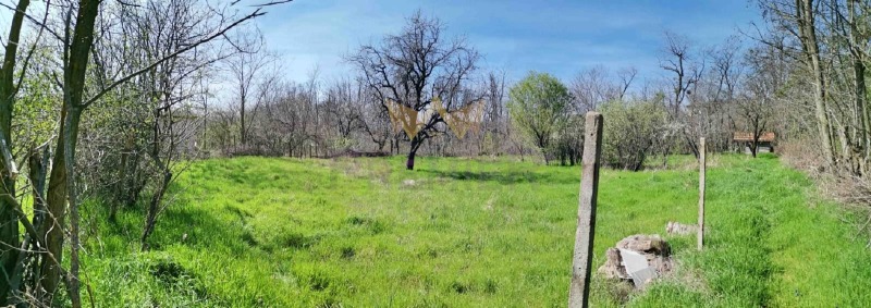 For Sale  Plot Varna , Izgrev , 1023 sq.m | 49318329 - image [2]