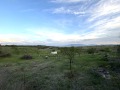 Продава ПАРЦЕЛ, област София, гр. Костинброд • 26490 € • 62645941 — Holmes.bg
