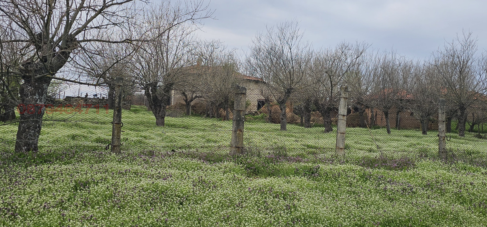 Продава КЪЩА, с. Елена, област Хасково, снимка 4 - Къщи - 54210960