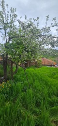 Продава КЪЩА, гр. Троян, област Ловеч, снимка 17