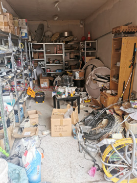 ����� ������� �����,���� �������, ��������