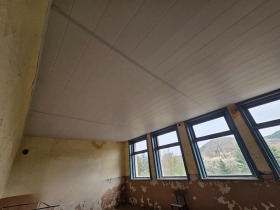 ������ ������� ����. ���������